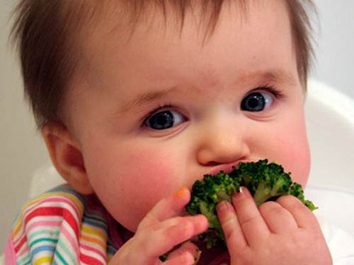 Cách tập cho con ăn dặm rau củ quả tốt nhất