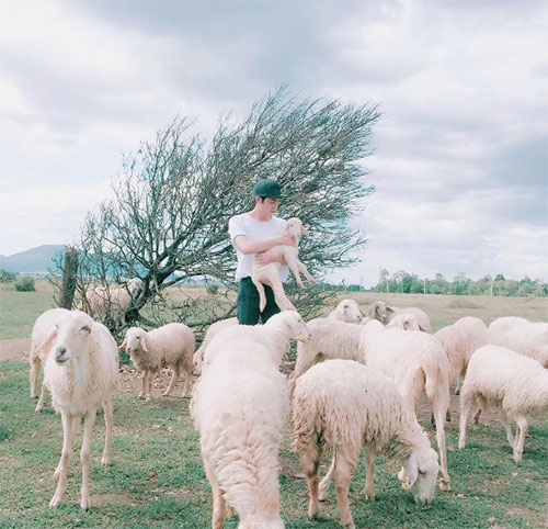 Ít ai biết có một đồi cỏ toàn cừu đẹp như châu Âu chỉ cách Sài Gòn 70km - 6