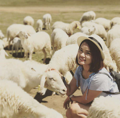 Ít ai biết có một đồi cỏ toàn cừu đẹp như châu Âu chỉ cách Sài Gòn 70km - 8