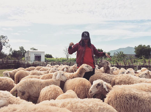 Ít ai biết có một đồi cỏ toàn cừu đẹp như châu Âu chỉ cách Sài Gòn 70km - 9