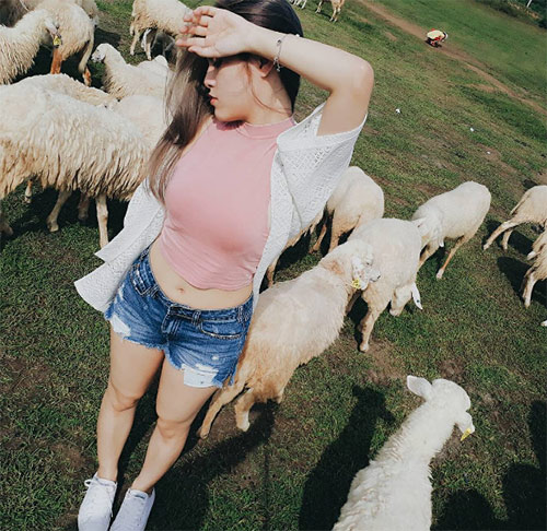 Ít ai biết có một đồi cỏ toàn cừu đẹp như châu Âu chỉ cách Sài Gòn 70km - 11