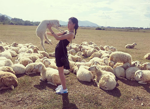 Ít ai biết có một đồi cỏ toàn cừu đẹp như châu Âu chỉ cách Sài Gòn 70km - 12