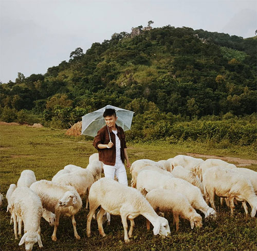 Ít ai biết có một đồi cỏ toàn cừu đẹp như châu Âu chỉ cách Sài Gòn 70km - 13