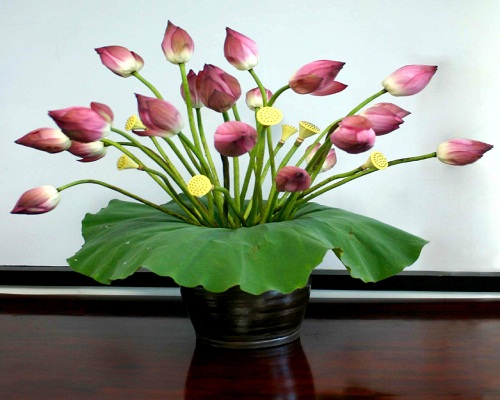 Bày 5 loại hoa này trong nhà không sớm thì muộn kiểu gì cũng giàu
