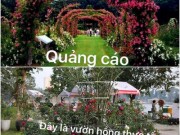 Tin tức - Sửng sốt với 3 lễ hội hoa được ví như "thảm họa mua hàng online"