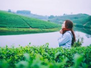 Du lịch - "Ốc đảo" chè xanh đẹp mê hồn giữa miền Tây xứ Nghệ