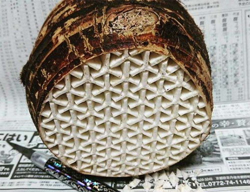 Xuất hiện “thánh tỉa rau củ” khiến chị em khóc thét - 11