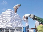 Mua sắm - Giá cả - Sẽ nhập hơn 100.000 tấn muối nguyên liệu năm 2017