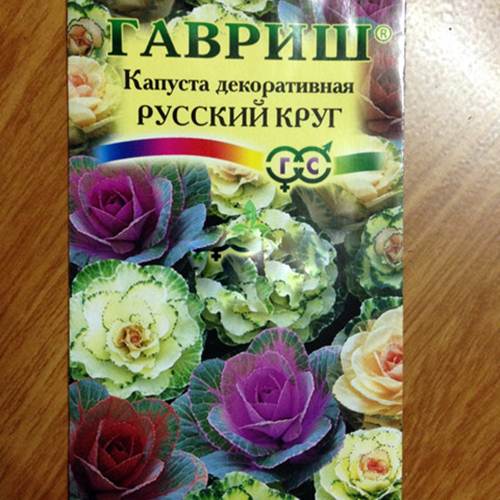 Mồng 83 trồng cải hoa hồng tặng người phụ nữ mình yêu