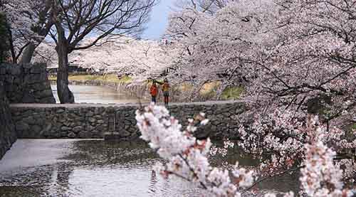 Chìm trong tuyết lạnh mùa đông, các thành phố du lịch vẫn đẹp hút hồn du khách - 6