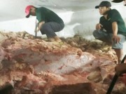Mua sắm - Giá cả - Hơn 30 tấn thịt heo không nguồn gốc suýt ra thị trường