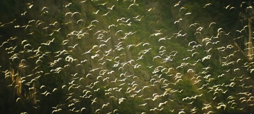 Những kỳ quan Việt Nam xuyên suốt siêu phẩm amp;#34;Kongamp;#34; - 4