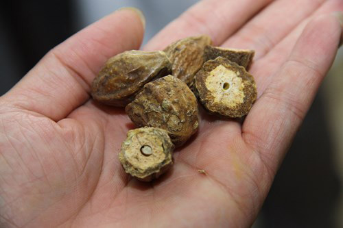 Đây mới là cách chuẩn giúp con giảm ho, sổ mũi mẹ nào cũng cần biết - 2