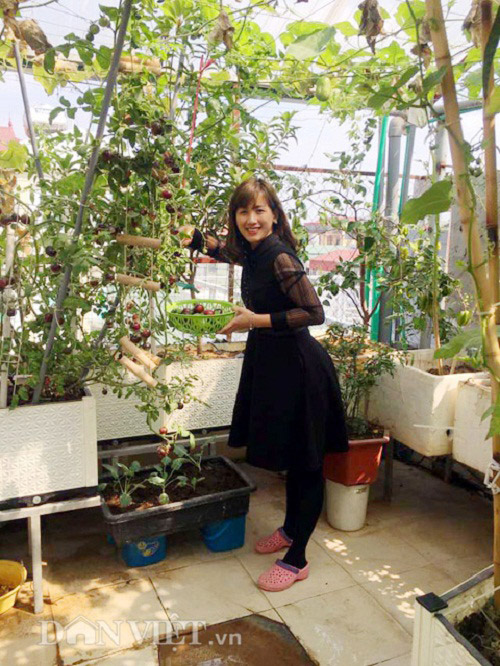 Trang trại mini ngập rau, cá, thỏ, gà... của mẹ 8X giữa lòng Hà Nội - 2