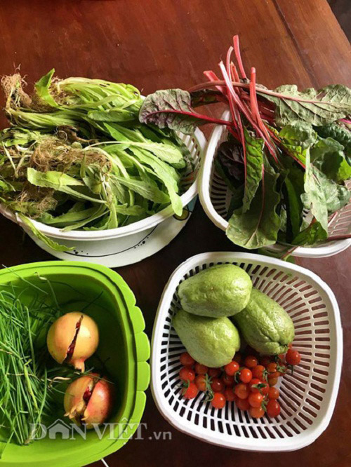 Trang trại mini ngập rau, cá, thỏ, gà... của mẹ 8X giữa lòng Hà Nội - 16