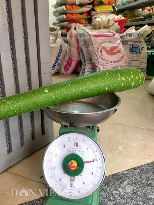 Trang trại mini ngập rau, cá, thỏ, gà... của mẹ 8X giữa lòng Hà Nội - 8