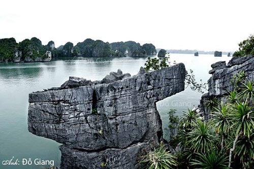 Các ngôi sao của phim amp;#34;Kong: Skull Islandamp;#34; nói gì về Vịnh Hạ Long? - 6