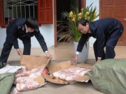 Mua sắm - Giá cả - Cao Bằng bắt lô hàng thịt vịt đông lạnh nhập lậu Trung Quốc