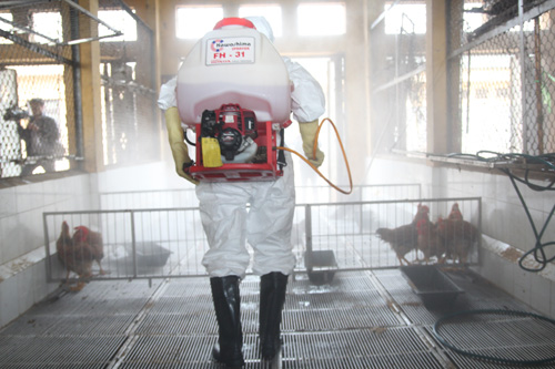 Phát hiện ca nghi nhiễm cúm A(H7N9), Hà Nội sẽ xử lý như thế nào? - 4