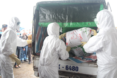 Phát hiện ca nghi nhiễm cúm A(H7N9), Hà Nội sẽ xử lý như thế nào? - 6