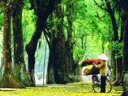 Du lịch - Trắc nghiệm phố cổ Hà Nội: Kể cả người Hà Nội gốc cũng không trả lời chính xác 100%