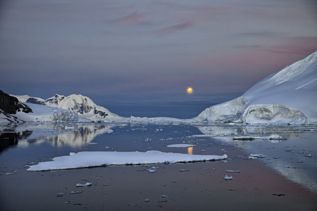 Mặt trăng vàng rực dần lặn phía chân trời lúc sáng sớm ở Nam Cực.
