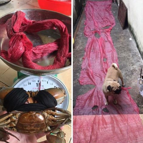 Khóc thét với thảm họa mua hàng kiểu “500 xôi 10 nghìn lá” - 1