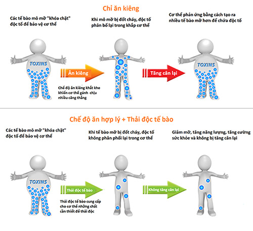 Điều không ngờ khiến phần lớn người giảm cân gặp thất bại - 2