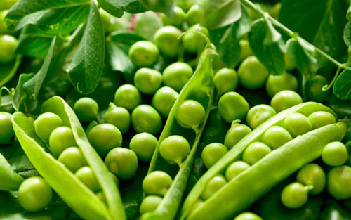 Những thực phẩm hàng ngày có tác dụng giải độc gan đến không ngờ - 4