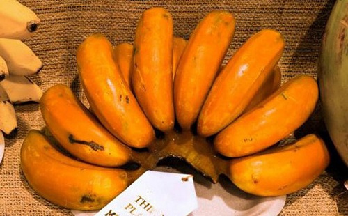 Những giống chuối amp;#34;lừa tìnhamp;#34; nhất quả đất, đố ai dám ăn thử - 12