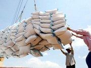 Mua sắm - Giá cả - Cơ chế xuất khẩu gạo tạo cơ hội ‘ngồi mát ăn bát vàng’