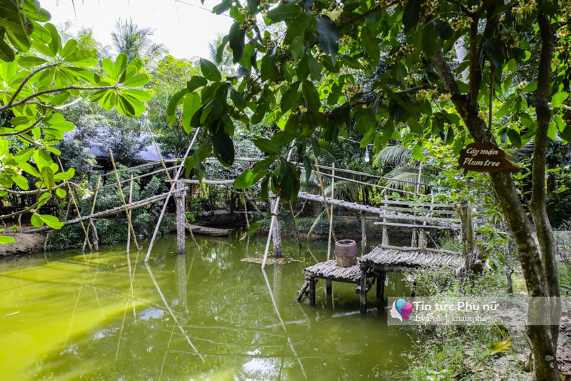 Homestay phong cách amp;#34;countrysideamp;#34; đẹp ngẩn ngơ ít ai biết ở Cần Thơ - 4