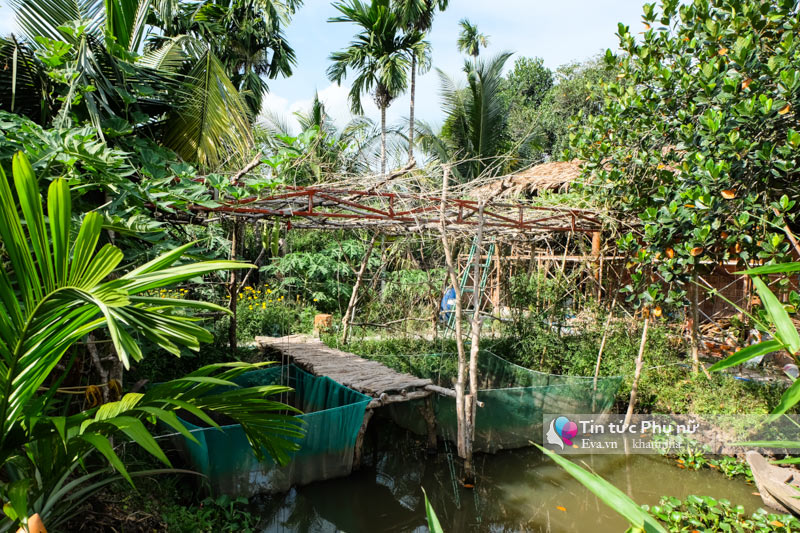 Homestay phong cách amp;#34;countrysideamp;#34; đẹp ngẩn ngơ ít ai biết ở Cần Thơ - 5