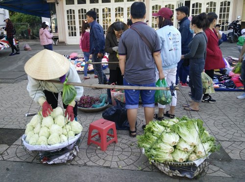 Rau xanh Đà Lạt được mùa, giá rẻ bèo - 2