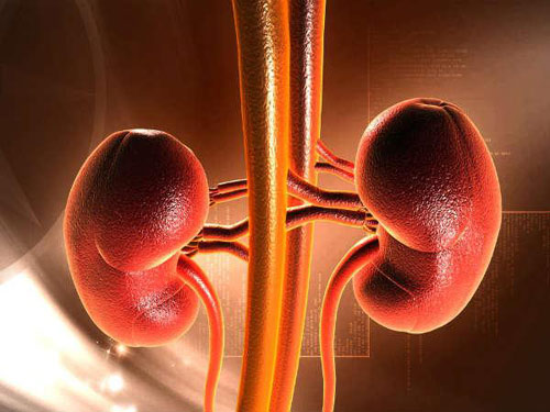 Điều kì diệu gì đã xảy ra khi tôi uống nước dừa với mật ong? - 4
