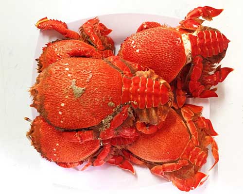 Hè này, đến Bình Ba ăn tôm hùm amp;#34;ngập mồmamp;#34;, tắm biển hoang sơ nơi nhiều người còn chưa biết đến - 12