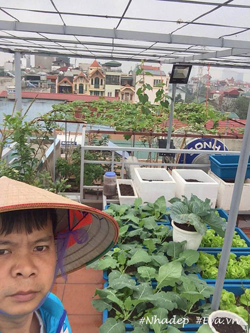 Ngưỡng mộ vườn rau quả xanh tốt amp;#34;vạn người mêamp;#34; trên sân thượng của ông bố Hà Thành - 1