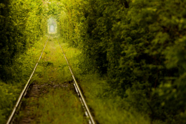 Đường ray tàu hỏa bỏ hoang này nằm trong rừng gần thành phố Caransebes, Romania. Du khách và người dân địa phương gọi đây là Đường hầm tình yêu vì vẻ lãng mạn của nó.
