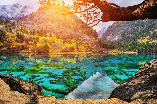 Vườn quốc gia Cửu Trại Câu ở Trung Quốc là rừng cây xanh tốt bao quanh những hồ nước trong xanh.
