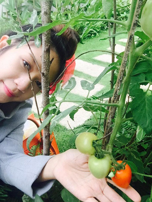 Bố mẹ hái rau amp;#34;ngập mặtamp;#34;, cậu út nhà Lý Hải - Minh Hà gật gù ngồi amp;#34;bánamp;#34; - 5