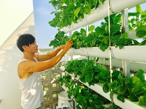 Bố mẹ hái rau amp;#34;ngập mặtamp;#34;, cậu út nhà Lý Hải - Minh Hà gật gù ngồi amp;#34;bánamp;#34; - 12