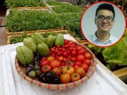 Nhà đẹp - "Soái ca” Hải Phòng "cãi" bố mẹ biến sân thượng thành vườn rau xanh đã mắt