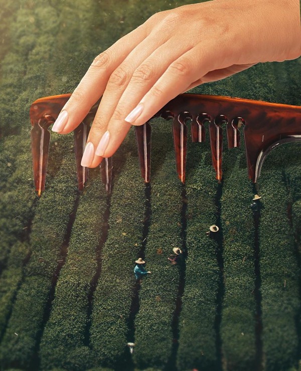 Quá kinh ngạc, bạn sẽ chỉ dám tin những cảnh tượng này có trong mơ mà thôi (Phần 2) - 3
