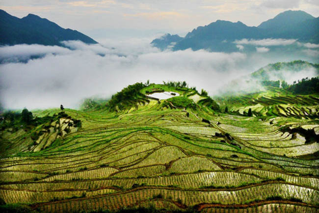 Ruộng bậc thang lúa gạo Yunhe

Ruộng bậc thang Yunhe nằm ở tỉnh Chiết Giang với diện tích 52km2 bao phủ vùng những ngọn núi, đồi và thung lũng, nằm ở độ cao trung bình từ 200m - 400m tạo nên một khung cảnh đẹp ngoạn mục.
