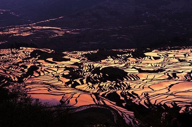 Ruộng bậc thang lúa gạo Yuanyang

Ruộng bậc thang lúa gạo Hani nằm dưới ngôi làng bên cạnh dãy núi Ailao của Yuanyang. Đây được xem như một thiên đường nhiệt đới màu mỡ với rất nhiều cảnh đẹp, thu hút nhiều khách du lịch.

Những bậc thang này được người dân Hani địa phương tạo ra bằng tay không, một ngàn năm trước và vẫn được sử dụng ngày nay. Từ mùa đông đến đầu mùa xuân, toàn bộ những thửa ruộng được tưới bằng nước suối từ cánh rừng phía trên để chuẩn bị cho mùa gieo trồng tiếp theo.
