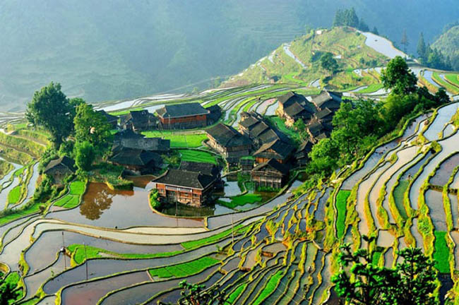 Ruộng bậc thang lúa gạo Jiabang 

Ruộng bậc thang Jiabang nằm ở phía nam tỉnh Quý Châu, trải dài từ xuống đồi với hàng trăm thửa ruộng. Vào mùa xuân, thửa ruộng như một tấm gương soi và xanh mướt vào mùa hè, vàng rực vào mùa thu. Xung quanh là những ngôi nhà gỗ độc đáo tạo nên một khung cảnh thanh bình, nên thơ.
