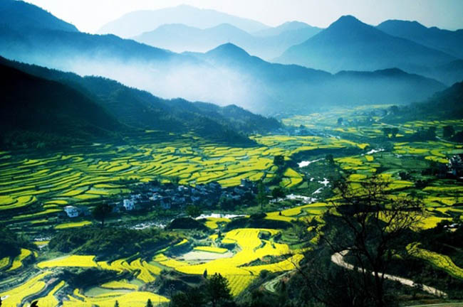 Ruộng bậc thang lúa gạo Jiangling

Ruộng bậc thang Jiangling nằm trên vùng núi cao 1.000m ở tỉnh Giang Tây, nổi tiếng với cảnh đẹp hoa cải dầu vào mùa xuân. Nơi đây có dòng sông chảy qua thung lũng và ngôi làng nhỏ xinh.  Nhìn từ Jiangling, bạn sẽ tìm thấy các tầng của các cánh đồng bậc thang nổi bật giữa thiên nhiên, các con sông chảy qua thung lũng quanh co và những làng mạc rải rác.
