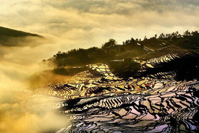 Ruộng bậc thang lúa gạo Youxi

Ruộng bậc thang Youxi là khu vực của 8 ngôi làng nhỏ vùng Youxi, tỉnh Fujian với diện tích 6,8 triệu m2, điểm cao nhất gần 1.000m, điểm thấp nhất là 500m so với mực nước biển. Những người dân sống đã nhiều thế hệ của các ngôi làng nhỏ. Đứng trên sườn đồi, bạn có thể nhìn thấy những cánh đồng bậc thang với khói cuộn tròn từ các ống khói nhà bếp và gió nhẹ nhàng làm dịu bạn.
