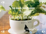 Nhà đẹp - Tội gì không trồng những loại rau "thạch sanh" mau lớn, dễ chăm cho nhà ăn quanh năm