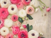Eva tám - Tử vi tháng 4, người tuổi Tí thì tiền vào như nước, tuổi Hợi chú ý sức khỏe suy giảm
